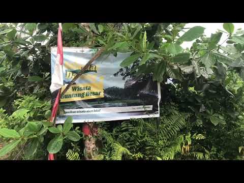 Profil dan Potensi Desa Guntung Besar