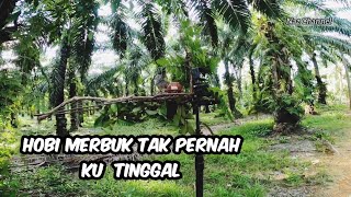 Download lagu Rasa nak ON balik_ Memikat Merbuk Laman Jerantut mp3 Download lagu Rasa nak ON balik_ Memikat Merbuk Laman Jerantut mp3