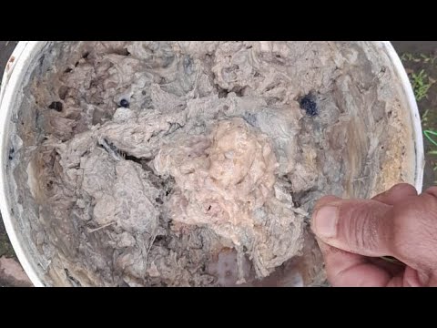 HOW TO MAKE ROGUE!! FROM SHAD. CHIVO FISHING STYLE!