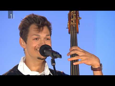 Žurerji - Bodi roža