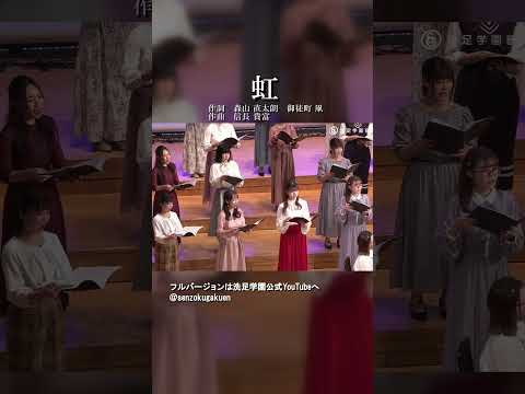 虹