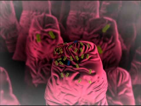 New Horizons in Animal Health: