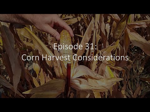 Episode 31: Corn Harvest Considerations