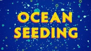 Ocean Seeding - A New Technology that can Save Marine Life