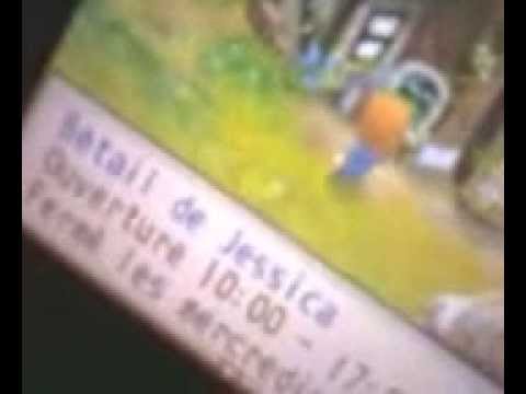 Harvest Moon : Les Deux Villages Nintendo DS