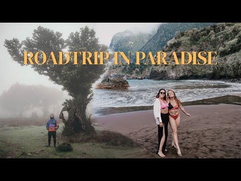 Madeira's northwest in a day - THE ULTIMATE ROAD TRIP GUIDE!