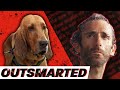 I Tried Escaping A Bloodhound I Tried Escaping A Bloodhound