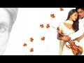 Love Themes Mohabbatein