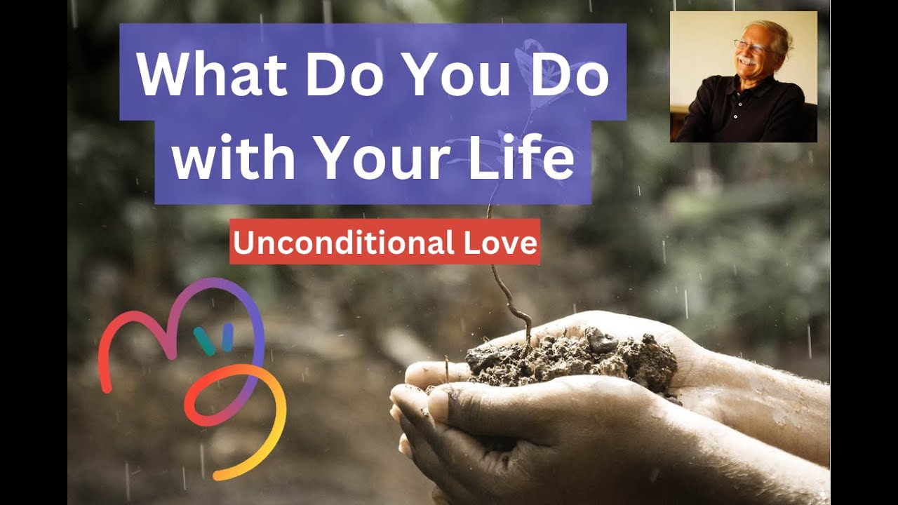 What Do You Do With Your Life - Micheal Singer