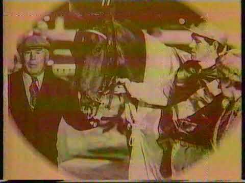 1979 Interdominions, Addington, Christchurch