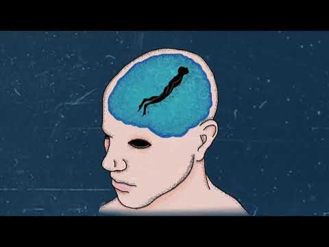 Video thumbnail for Ocean