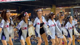 【 Passion Sisters 】#凱蒂#貴貴#短今#希希#汶汶#怡琪#黃潮降臨#台湾チアリーディングチーム#中華職棒#CPBL#洲際#20240824火影主題日