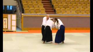 Aikido 50 Years Sweden Sensei Janne Hermansson Shihan