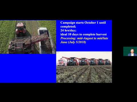 Sugarbeet Research Reporting Session - January 12, 2021 - Session 1