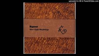 Rapoon - The Paranoia Of Abstaction