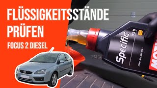 Youtube thumbnail of video "Die Flüssigkeitsstände prüfen Focus 2 1.8 TDCI 📏"