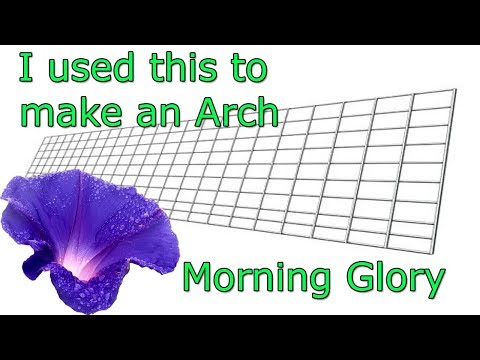 HOW TO BUILD AN ARCHWAY FROM SCRATCH | MORNING GLORY