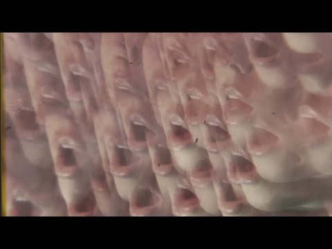 Video thumbnail for When She Smiles