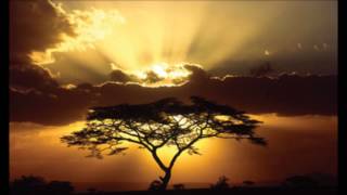 Keiko Matsui - Light Above The Trees