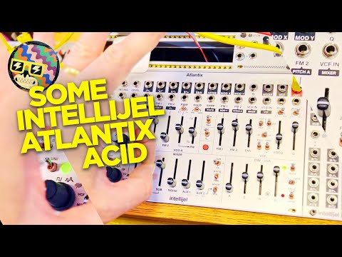 Intellijel ATLANTIX: No Talking Acid Test 😋
