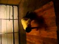 Bboy Hurricane Soul Kingz