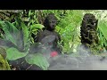Buddha's Flute Music: Zen Garden 7