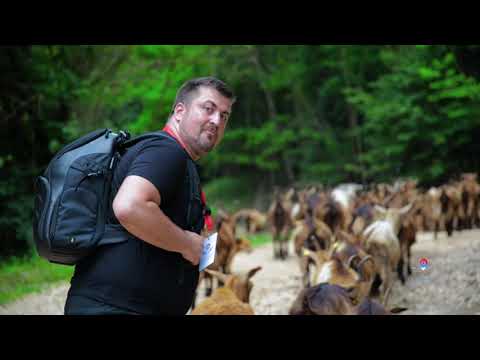 Tragom MILOŠA OBILIĆA | KULTURISTA Ep.03