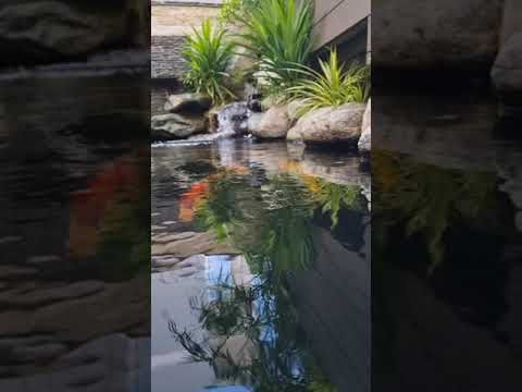 hồ đẹp uông gia