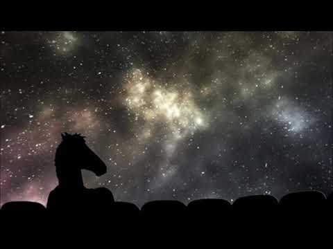 Don't Stop Dancing (Sarah Lynn Version) - BoJack Horseman