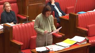 New Prostitution Law Reform to achieve equality for women who have no choice - Nicola Centofanti MLC