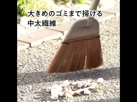 花序の詳細