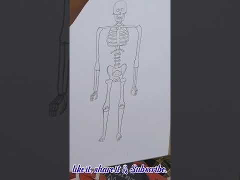 How To Draw A Skeleton Step By Step Skeleton Drawing Easy Super Ea