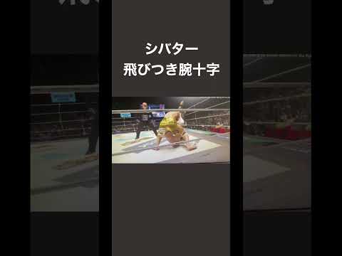 実はシバター好きなんですよね。飛びつき腕十字で勝利！【2021RIZIN】