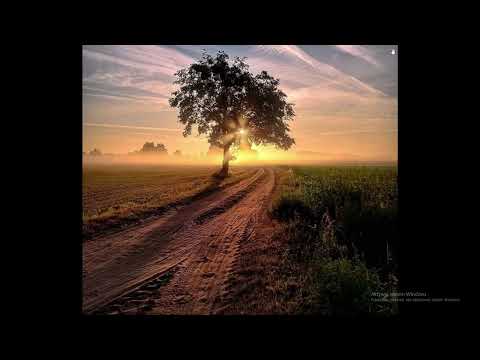 The FifthGuys, Mandrazo, M I M E & Veronica Bravo   Broken