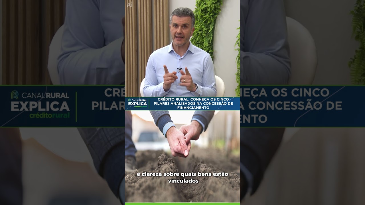 Crédito rural: conheça os cinco pilares analisados na concessão de financiamento | CR Explica