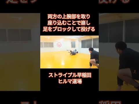 両方の上腕部を取り、座り込むことで崩し、足をブロックして投げる #格闘技 #サンボ #柔道