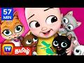 மியாவ் மியாவ் பூனைக்குட்டி Poonaikutti Collection Ch