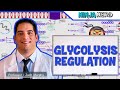 Metabolism | Regulation of Glycolysis
