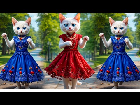 AI Cat funny dance video 😍 AI Cat funny dance video AI cat video