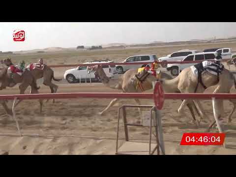   ش 4 (محفل) لـ سرور منصور سالمين المنصوري 7:45 , شارة الديوان 3 2026/10/06 سويحان ايذاع  