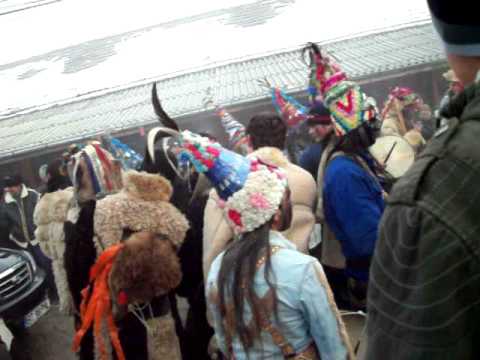 NU POTI RATA:VALEA GLODULUI DESCANTECE