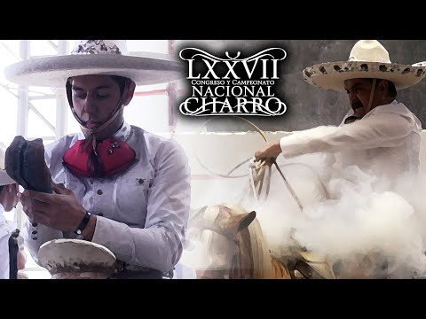 PIALES ON THE CANVAS day 21 grand FINAL - Aguascalientes Congress 2021