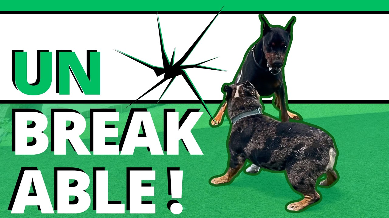 How to Fix Crazy: 4 Things That Actually Work - 1yr old 