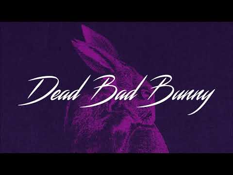 Dead Bad Bunny - Dust For Sorrow (Audio)