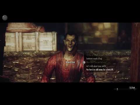 SKYRIM: Serana Dialogue Add-On (invisible bug)