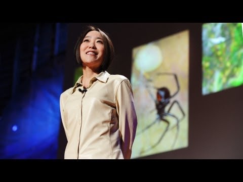 TED】シェリル・ハヤシ 蜘蛛の糸の素晴らしさ（シェリル・ハヤシ 蜘蛛の糸の素晴らしさ (【TED】Cheryl Hayashi: The magnificence of spider silk (Cheryl Hayashi: The magnificence of spider silk))