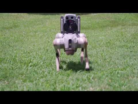 Video Thumbnail: Robot dogs are replacing security guards in Atlanta