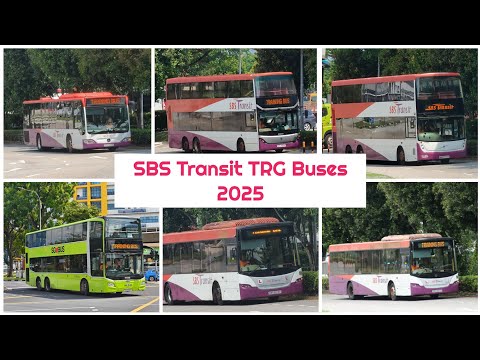 700 SUBS SPECIAL! SBS Transit Training Buses in Ulu Pandan, 2025