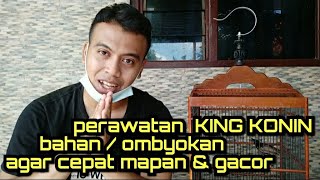 Download lagu KING KONIN care for ingredients/organizations to make it sing quickly mp3