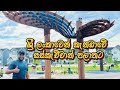Sri Lanka To Saskatchewan Canada Canada Sinhala Vlogs Srilankan Canadapr Sinp